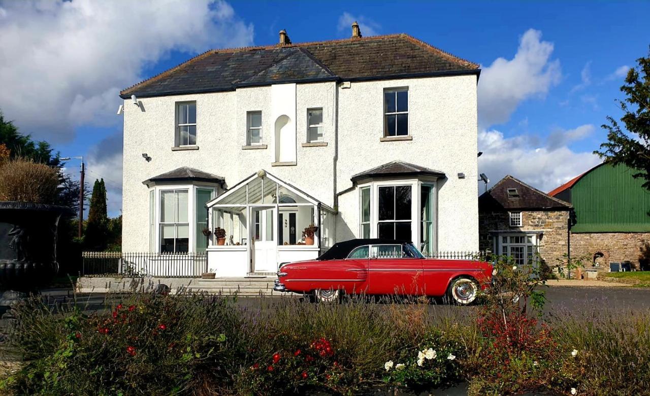 Mount Pleasant Country House Guest House Lucan Bagian luar foto